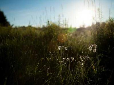 GPT‑5.3‑Codex‑Spark