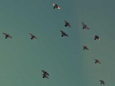 This air purifier is a must for pet parents, and it's up to $70 off for Presidents' Day