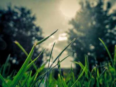 I just found an obscure Linux distro that's outstanding on old hardware