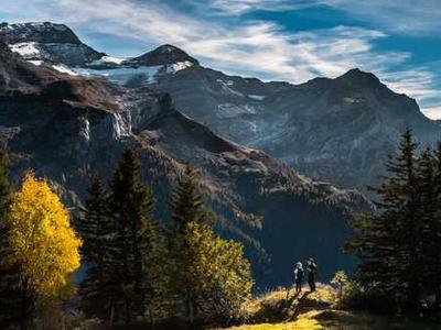 Viktor Skills Marketplace