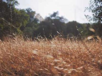 The most versatile Linux distributions you can install right now - and I've tried them all