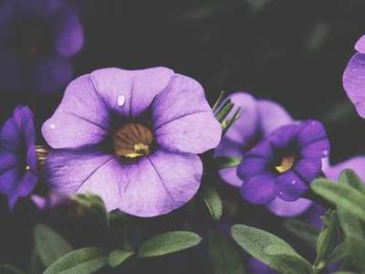 The top 5 Presidents' Day deals I'd buy right now (including an 85-inch TV)