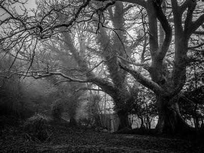 The top 5 Presidents' Day deals I'd buy right now (including an 85-inch TV)