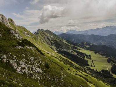 Finally, a robot vacuum that cleans my dogs' hair reliably well
