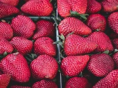 Plus AI Presentation Agent