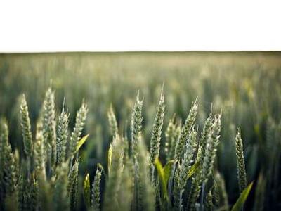 I replaced my AirPods Pro with Sony XM6 earbuds for a month - and I'm nearly sold