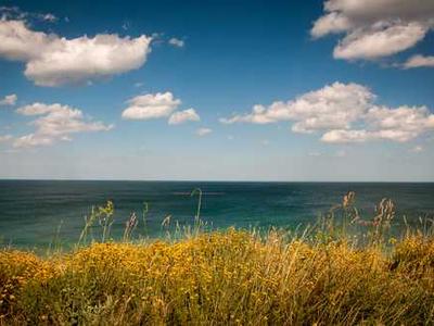 I replaced my AirPods Pro with Sony XM6 earbuds for a month - and I'm nearly sold