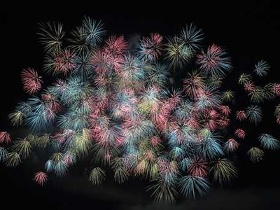 This air purifier is a must for pet parents, and it's up to $70 off for Presidents' Day