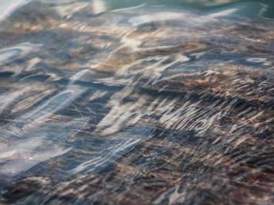 GPT‑5.3‑Codex‑Spark