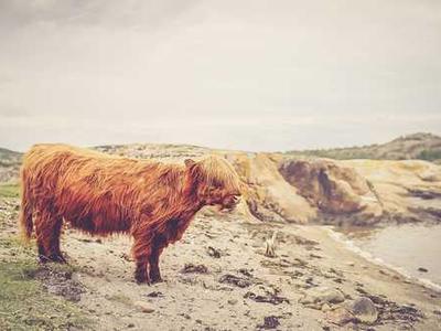 I replaced my AirPods Pro with Sony XM6 earbuds for a month - and I'm nearly sold