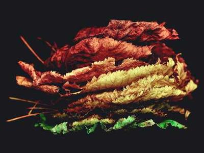 I replaced my AirPods Pro with Sony XM6 earbuds for a month - and I'm nearly sold