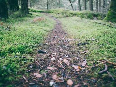 The best Presidents' Day laptop sales we've found: Acer, HP, Lenovo, and Apple