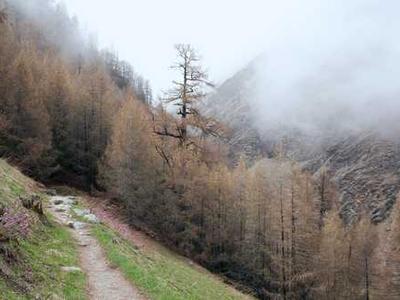 Save $300 on thie Asus gaming laptop and score two free games - but only for a limited time