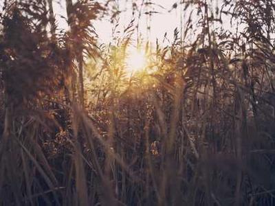 Best early Black Friday Chromebook deals 2025: 15+ sales out early