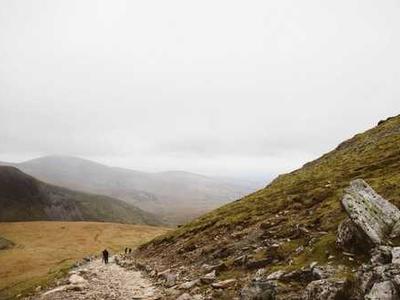 Finally, a robot vacuum that cleans my dogs' hair reliably well