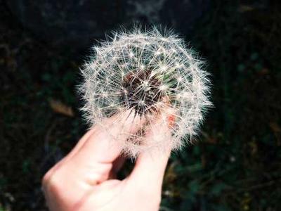 InboxJoy - Filter Noise from Social DMs