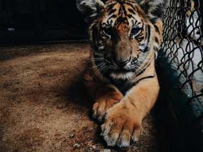 Save $300 on thie Asus gaming laptop and score two free games - but only for a limited time