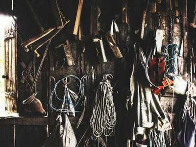 I've worked from home for 7 years: These are the gadgets I'm eyeing to buy