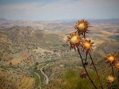 LG has discounted its Gram Pro laptop by $900, but only for a limited time