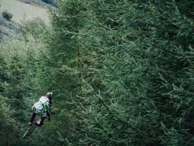 This air purifier is a must for pet parents, and it's up to $70 off for Presidents' Day