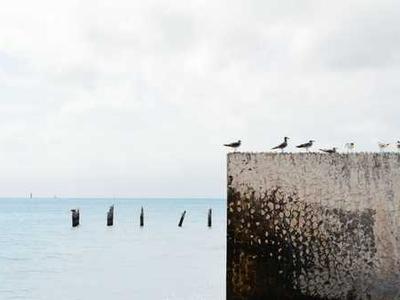 Peek-a-Doodle for iOS & iPadOS